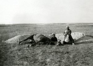 I wojna światowa 14-18 (1914-1918): trzej francuscy żołnierze grzebią martwego konia - fotografia na płycie szklanej autorstwa Unbekannter Künstler