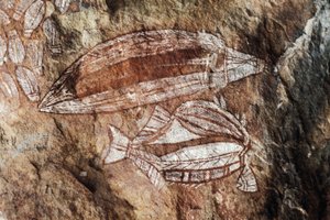 Ryby, malarstwo naskalne, Ziemia Arnhema, Terytorium Północne, Australia, Kultura Aborygenów