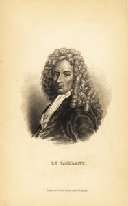 Francois le Vaillant lub Levaillant, francuski pisarz, badacz, przyrodnik i ornitolog autorstwa Unbekannt