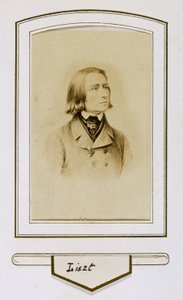 Franciszek Liszt w młodości autorstwa Unbekannter Künstler