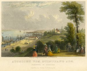 Niemcy, Hamburg, Elbhoehe, widok od Stintfang do Łaby, starokolorowa staloryt z A. H. Payne, Lipsk, opublikowany przez G. W. Niemeyera, około 1850 r. autorstwa Unbekannter Künstler