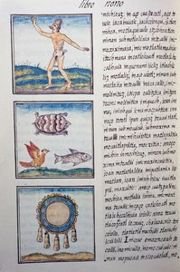 Goldsmith, strona z Kodeksu florenckiego, dwujęzyczna wersja po hiszpańsku i nahuatl, Ogólna historia rzeczy w Nowej Hiszpanii, autorstwa hiszpańskiego misjonarza Fray Bernardino de Sahagun (1499-1590). Cywilizacja Azteków autorstwa William M. Timlin