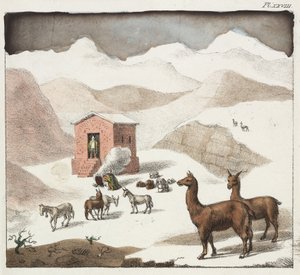 Guanacos, Dolina Jaskiń, Andy, Chile autorstwa Unbekannter Künstler