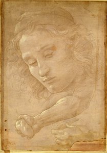 Głowa młodzieńca, czerpiąca ze strony „Libro dei Disegni” Giorgio Vasari autorstwa Unbekannt