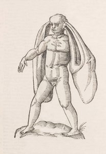 Homo fanesius auritus autorstwa Unbekannt