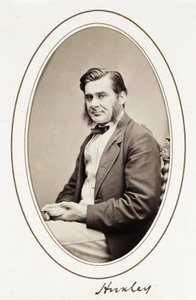 Huxleya, ok. 1865 r autorstwa Unbekannt