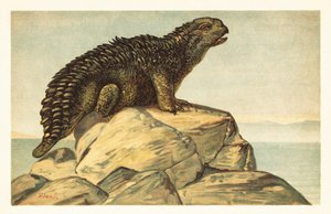 Hylaeosaurus armatus, wymarły roślinożerny dinozaur ankylozaur 1908 (litografia) autorstwa Unbekannter Künstler