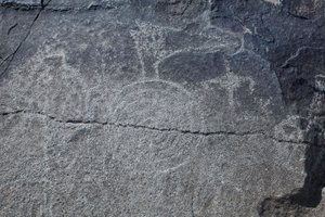 Indian Petroglyphs - Animal and Symbolic Reprezentacja - Petroglyph National Monument - Albuquerque, Nowy Meksyk, USA (USA) autorstwa William M. Timlin