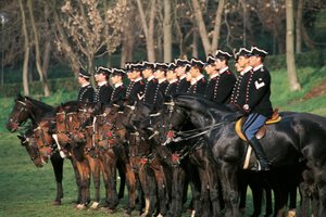 Włochy, dywizjon kirasjerów na koniu w rzędzie autorstwa William M. Timlin