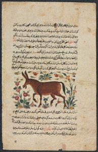Inne (fundusze), z obsady nezhantami (doskonała księga o przyjeździe) od Shahmardy Ibn Abi al-Khair autorstwa Unbekannt
