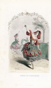 La fee de la fleur de grenade danse - Akwaforta autorstwa Charlesa Geoffroya (1819-1882), na podstawie ilustracji Jeana Ignace