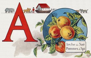 Litera A: Arka Noego, Apy Apple. Grawerowanie w „ABC L