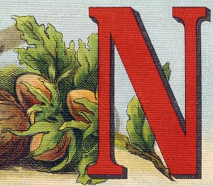 Litera N: orzechy laskowe. Grawerowanie w "Alfabet de ma petite fille". Bernardin-Bechet i Fils, księgarz-wydawnictwo, Paryż, ok. 1895. Niezniszczalny album na płótnie. Bibliotheque des Bebes. 12 stron. Album zawierający sposób czytania i ilustracyjną abec autorstwa Unbekannt