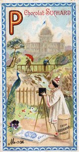 Litera P: pałac, pawilon, parasol, fotograf, most, wędkarstwo, paw, pensee. Rycina alfabetu pod redakcją Chocolata Sucharda, początek XX wieku. 24 chromatografie przedstawiające miejsca, postacie i przedmioty do odkrycia w autorstwa Unbekannt