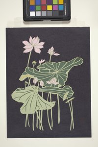 Lotus (wielokolorowy papier cięty) autorstwa Unbekannter Künstler