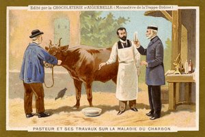 Louis Pasteur pracuje nad znalezieniem lekarstwa na wąglika autorstwa Unbekannter Künstler