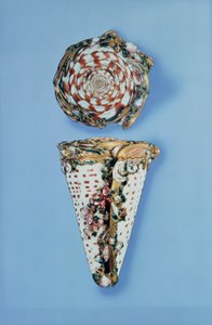 Złote tabakiery Ludwika XV w formie muszli, B.Sagaret, Paryż (1715-1774) autorstwa Unbekannt