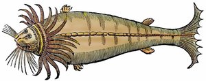 Stworzenie morskie, ksylografia zaczerpnięta z "Paralipomena accuratissima historiae omnium animalium quae in voluminibus Aldrovandi desiderantur/Bartholomaeus Ambrosinus... summo labore collegit; Marcus Antonius Berna bibliopola bononiensis propriis sumpt autorstwa Unbekannter Künstler