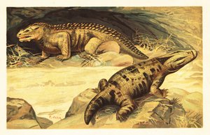 Mastodonsaurus i Pareiasaurus.1908 (litografia) autorstwa Unbekannter Künstler