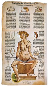 Medycyna: tablica anatomiczna opisująca anatomię kobiety z renesansowego traktatu medycznego. Wokół postaci siedzącej kobiety wymieniono i zilustrowano ważne narządy, takie jak wątroba, płuca i przepona, żołądek i aparat rozrodczy. Kolorowa rycina autorstwa Unbekannter Künstler