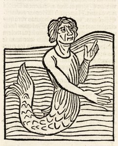 Merman autorstwa Unbekannt