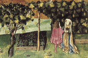 Miniatura o winogronach, owocach redukujących tłuszcz z brzucha i odchudzających - IBN BUTLAN, Abu-l Hasan al-Mujtar (ok. 1001 - 1066). Nestoriański chrześcijański lekarz i filozof z Bagdadu. Folio 83r. Ilustracja przedstawiająca winogrona, owoc, który obn autorstwa Unbekannter Künstler