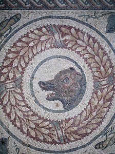 Mozaika perystylu. Detal przedstawiający głowę niedźwiedzia. III - IV wiek. Rzymska willa Casale, Sycylia. UNESCO. autorstwa William M. Timlin