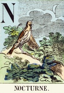 N : Nocturne - Alfabet myśliwski, ok. 1890 (rycina) autorstwa Unbekannt