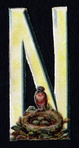 N jak Nest. Beetle decoupis na temat zwierząt. Rytownictwo. Seria 26 chromolitografii waflowych pochodzenia angielskiego. Nieznany redaktor i ilustrator. Koniec XIX wieku. Wymiary: 5,5x3,5cm autorstwa Unbekannt