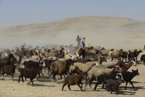 Nomadyczne namioty między Tamar a Aszchanią, Iran 2022 (fotografia) autorstwa Unbekannter Künstler
