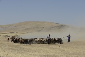 Nomadyczne namioty między Tamar a Aszchanią, Iran 2022 (fotografia) autorstwa Unbekannter Künstler