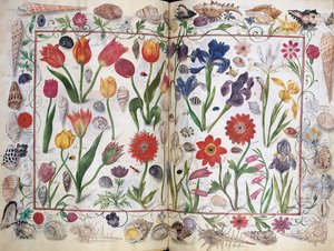 Kartki z Albumu Amicorum Philippa Hainhofera, 1596-1633 autorstwa Unbekannt