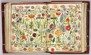 Kartki z Albumu Amicorum Philippa Hainhofera, 1596-1633 autorstwa Unbekannt