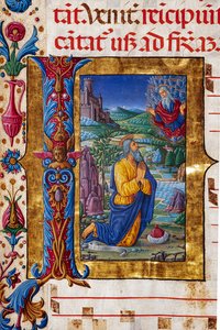 Biblioteka Piccolomini: Księga Chóralna, dor. 7.G, nn. 40v z „Wizją Jeremiasza”, autorstwa Guidoccio Cozzarelli. Szczegół. autorstwa Unbekannter Künstler