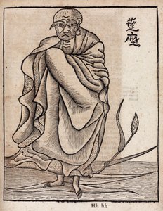 Bodhidharma dnia portretu (v autorstwa Unbekannt