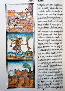 Przetwarzanie piór, tekst w języku nahuati, z faksymile rękopisu General History of Things of New Spain, znanego również jako Kodeks florencki, autorstwa Bernardino de Sahagun autorstwa William M. Timlin