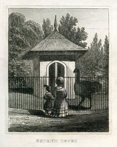 Ogród zoologiczny Regent