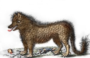 Przedstawienie bestii z Gevaudan, kości jego ofiar rozrzucone wokół jego nóg Rycina około 1764 r. (Bestia z Gevaudan w przedstawieniu z 1764 r.) Kolekcja prywatna