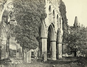 Opactwo Rievaulx, North Yorkshire, Wielka Brytania (zdjęcie czarno-białe) autorstwa Unbekannter Künstler