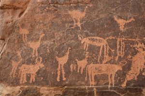 Sztuka naskalna, prehistoria: Fragment ryciny przedstawiający zestaw strusi i bydła w masywie Uweinat w Egipcie (okres od 8000 do 3000 lat pne). Fotografia autorstwa Unbekannt
