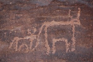 Sztuka naskalna, prehistoria: Grawerowanie krowy i jej cielęcia w masywie Uweinat w Egipcie. (Okres od 8000 do 3000 lat pne). Fotografia autorstwa Unbekannt