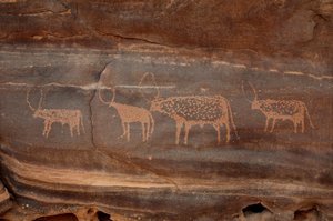 Sztuka naskalna, prehistoria: Grawerowanie czterech sztuk bydła w masywie Uweinat w Sudanie (Karkur-Talh lub Karkur Talh). Okres od 8000 do 3000 lat pne. Fotografia autorstwa Unbekannt