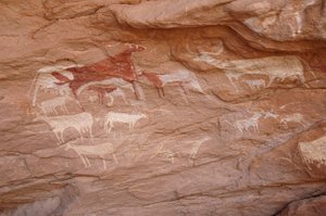 Sztuka naskalna, prehistoria: Obraz przedstawiający stado bydła w ozdobnym schronie w masywie Uweinat w Sudanie (Karkur-Talh lub Karkur Talh). Okres od 8000 do 3000 lat pne. Fotografia autorstwa Unbekannt