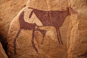 Sztuka naskalna, prehistoria: Malowidło naskalne przedstawiające dużą dwukolorową krowę i jej cielę w ozdobnym schronie w masywie Uweinat w Sudanie. Okres od 8000 do 3000 lat pne. Fotografia autorstwa Unbekannt