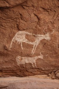 Sztuka naskalna, Prehistoria: Malowidło naskalne przedstawiające dwie krowy z dużymi rogami (długi róg) w ozdobnym schronie, w masywie Uweinat w Sudanie (Karkur-Talh lub Karkur Talh). Okres od 8000 do 3000 lat pne. Fotografia autorstwa Unbekannt