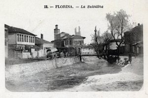 Serbia, Florina (dzisiejsza Grecja): widok na Sukulinę - pocztówka 1914-1918 autorstwa William M. Timlin