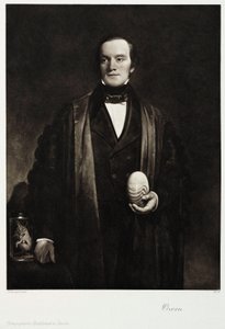 Sir Richard Owen, angielski przyrodnik i paleontolog, ok. 1845 autorstwa Unbekannt
