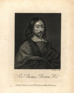 Sir Thomas Brown, angielski polimata i pisarz zajmujący się nauką, medycyną, religią i ezoteryką, zm. 1682 r. Miedzioryt z dzieła Williama Richarda Portraits Illustrating Granger
