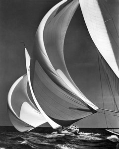 Spinakers na żaglówkach wyścigowych (zdjęcie czarno-białe)