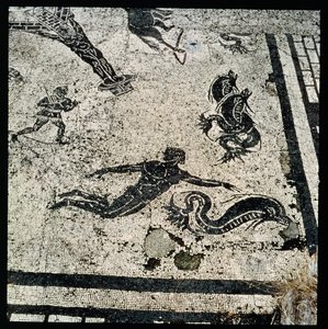 Pływanie z delfinami, z Frigidarium Łaźni w Ostii, II wne (mozaika) autorstwa Unknown